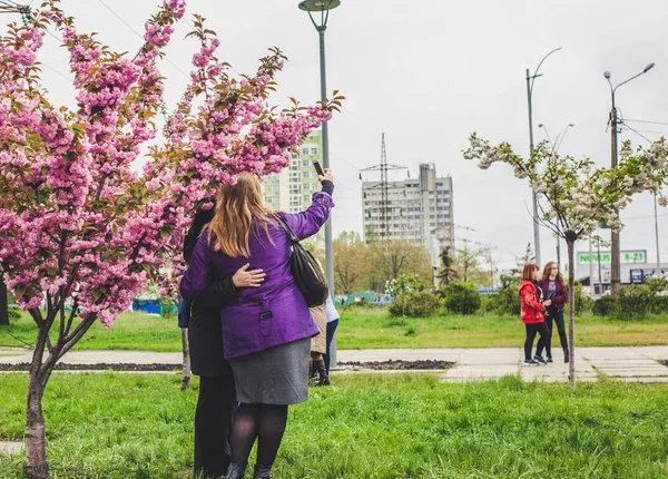 Rosenkirschblütenallee Kyoto Kioto Park Kyiv Ukraine — Stockfoto