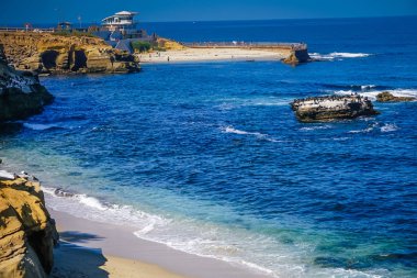 San Diego, Kaliforniya Çevre La Jolla Beach