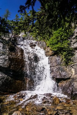 Çay evi izinde Banff National Park Kanada şelale