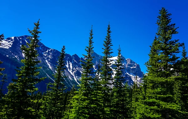 The Tea House Trail in Banff National Park in Alberta Canada — Stock Photo, Image