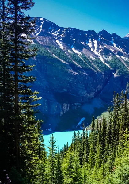 The Tea House Trail in Banff National Park in Alberta Canada — Stock Photo, Image