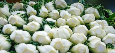 Bok Choy görüntüsünü