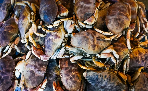 O grămadă de crabi proaspeți — Fotografie, imagine de stoc