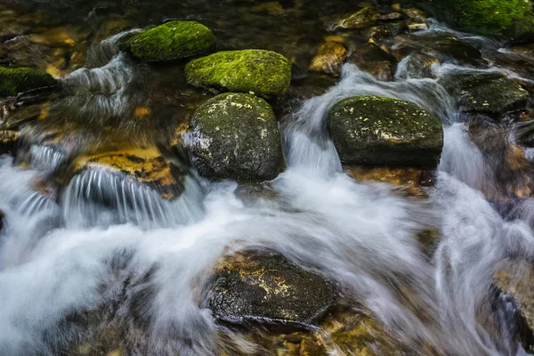 Un arroyo fresco de la montaña con las rocas cubiertas musgo Imagen De Stock