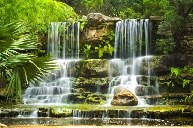 Double Waterfall in Zilker Botanical Park in Austin, Texas clipart