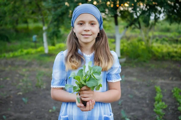Girl Holds Her Hands Seedlings Cabbage She Engaged Garden Work — Stock Photo, Image