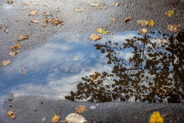 Praha Mimarisi 'nin tarihi merkezindeki renkli gökyüzünün su birikintisinin yansıması, renkli arka plan