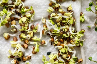 Sağlıklı gıda konsepti. Seçici odaklanma. Vejetaryenlik ve organik ürünler.