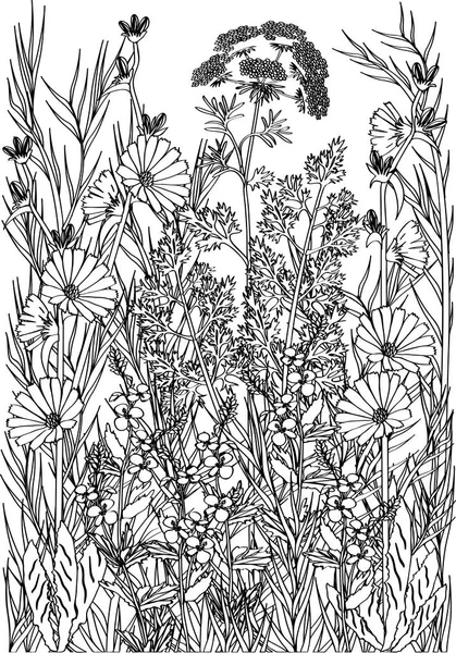 Coloriage Fleurs Plantes Pour Méditation — Image vectorielle