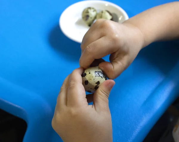 Bebek ve Bıldırcın yumurta