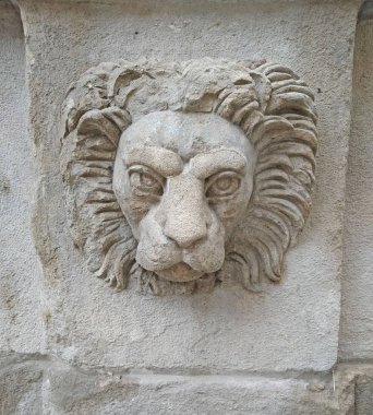 Bir bina duvar Lviv kafasına aslan.