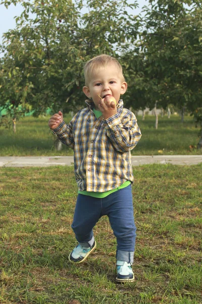 Kleiner Junge isst rote Äpfel im Obstgarten. — Stockfoto