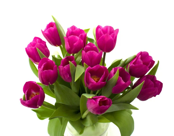 Bouquet of fresh tulips isolated on white background — Stock Photo, Image
