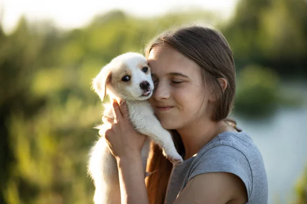 Labrador yavrusu tutan ve gülümsüyor bir kız. Yaz aylarında ormanda gün batımında. Dostluk, mutluluk, sevinç ve çocukluk kavramı