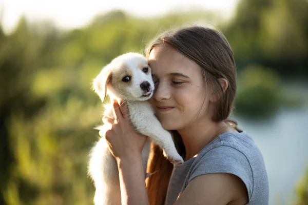 Ein Mädchen hält einen Labrador-Welpen und lächelt. bei Sonnenuntergang im Wald im Sommer. das Konzept von Freundschaft, Glück, Freude und Kindheit lizenzfreie Stockbilder