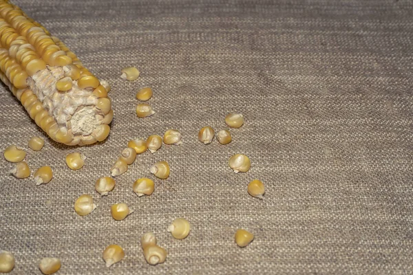 Kök Mısır taneleri ile