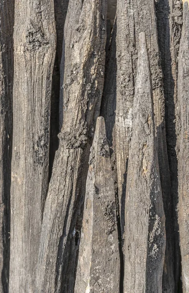 Boomer kolay depolama için erken sıralanmış