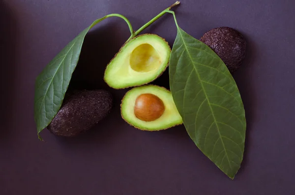 Aguacate negro fresco maduro — Foto de Stock