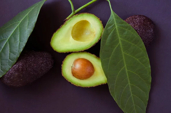 Aguacate negro fresco maduro — Foto de Stock