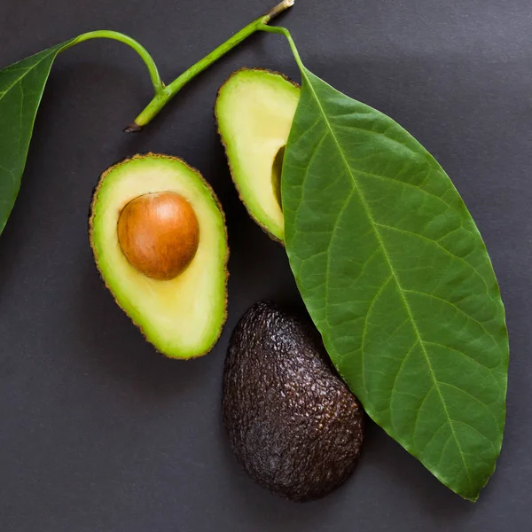 Aguacate negro fresco maduro — Foto de Stock