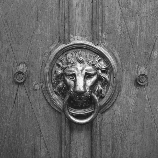 antique door handle, lion head. Black and white monochrome close up photo