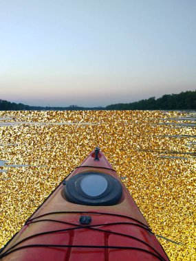 Gün batımında nehirde kayık teknesinden görünüm. Altın Glitter simler yaratıcı pop sanat parıltılı