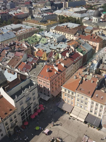 อาคารประว ศาสตร ในมาร ตสแควร ในใจกลางเม Lviv เครน มมองจากทาวน ฮอลล ทาวเวอร รูปภาพสต็อกที่ปลอดค่าลิขสิทธิ์