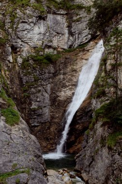 Neuschwanstein Şatosu, Bavyera Almanya.