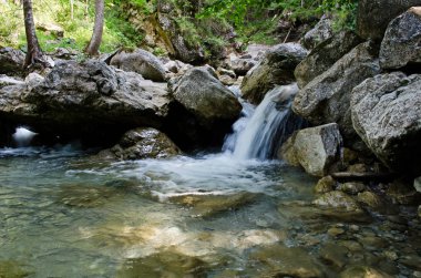 Neuschwanstein Şatosu, Bavyera Almanya.