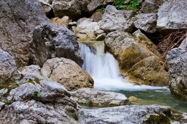 Neuschwanstein Şatosu, Bavyera Almanya.