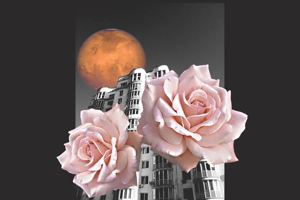 ศิลปะคอลลาจ อาคารสมัยใหม่ที่มีดอกกุหลาบและดาวเคราะห์สีแดง — ภาพถ่ายสต็อก