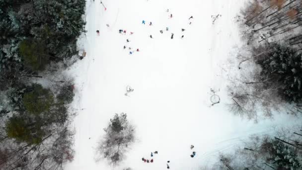 Imágenes Aéreas Arriba Hacia Abajo Del Ángulo Gente Esquiando Pista — Vídeo de stock