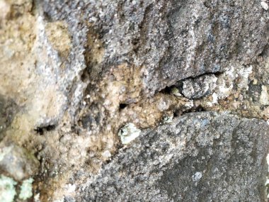 düzenlenmiş taş duvarın arka planı