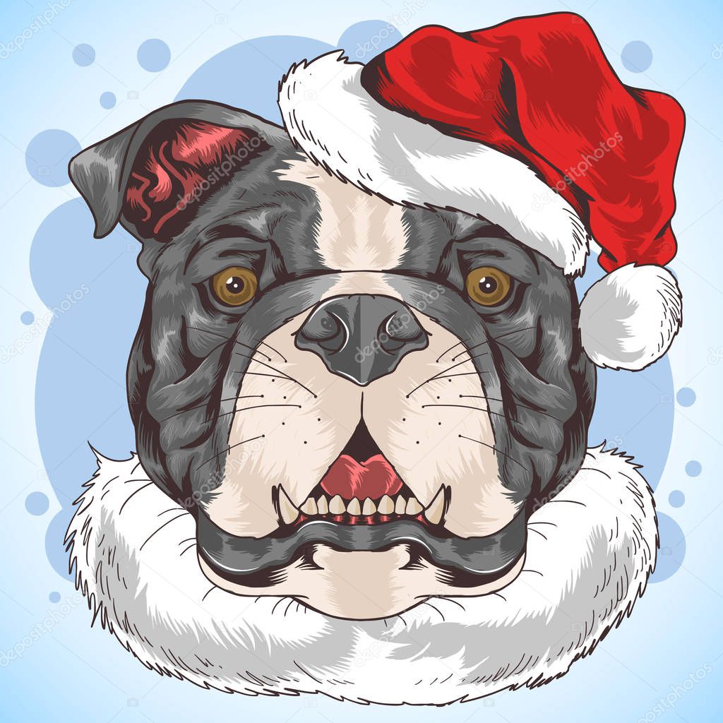 CHRISTMAS DOG in SANTA HAT. Vector illustration