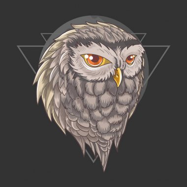 wisdom Owl Bird. Vector illustration