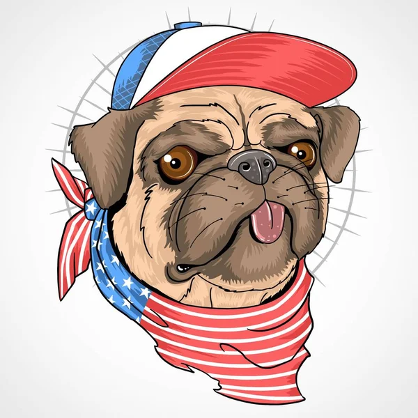 Pug Dog Usa Flag Vector Illustration — Stock Vector