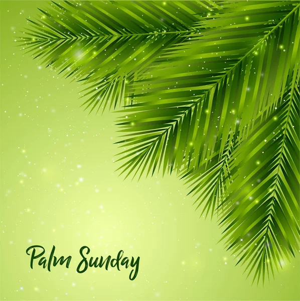 Palm Sunday Background — Stock Vector