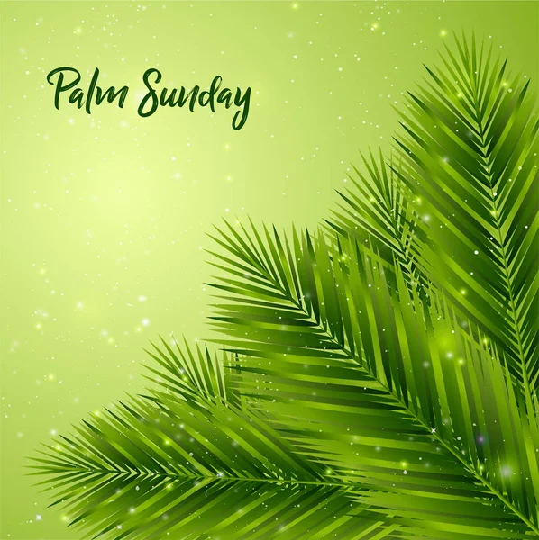 Palm Sunday Background — Stock Vector