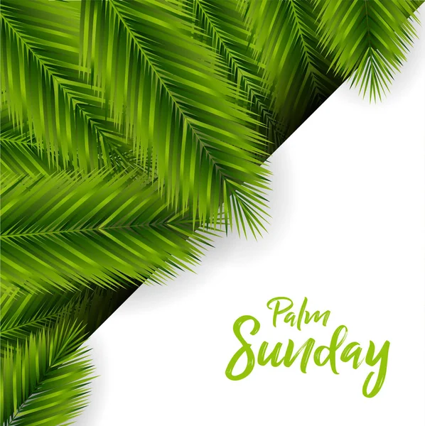 Palm Sunday Vector Design — Stock Vector