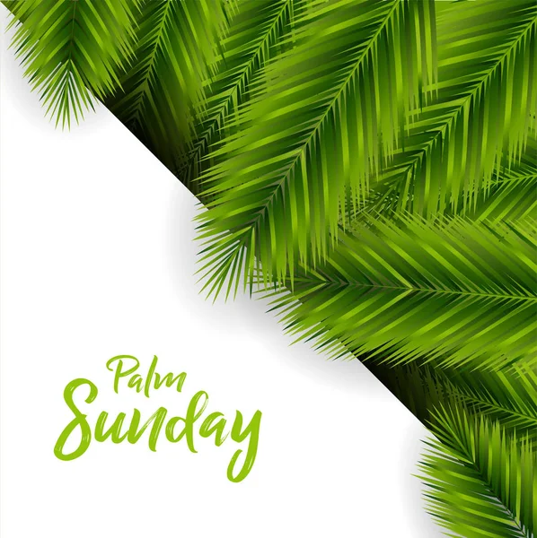 Palm Sunday Vector Ontwerp — Stockvector