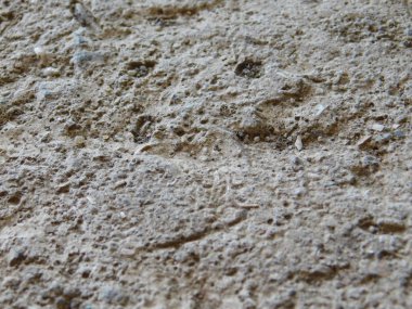 beton yüzey dokusu. Eski beton zemin