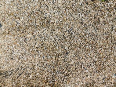 kabukları ile nehir kıyısında. doku