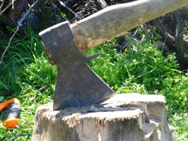 doğada kütük üzerinde balta