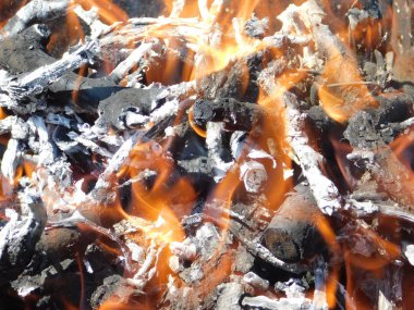 doğada şenlik ateşi. yanan dallar