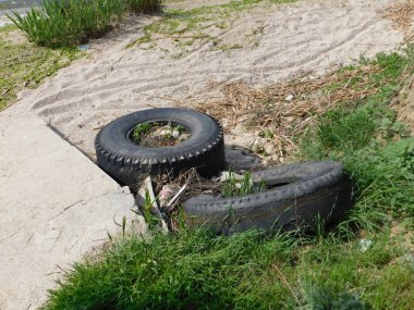 çevre sorunları, nehir kıyısında çöp, çevresel tehlikeler
