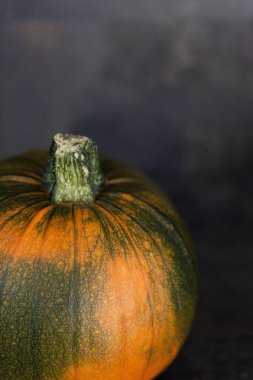 rengarenk kabak koyu arka plan üzerinde