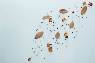 Baharat kompozisyonu. Defne yaprağı ve biber süslemeleri mavi zemin üzerine. Düz yatıyordu, en iyi görünüm, kopya alanı.