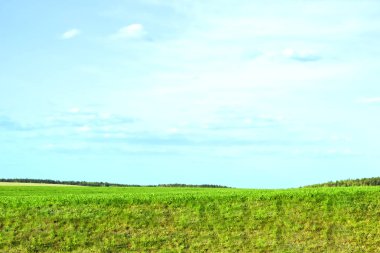Panorama kırsal alan ve gökyüzü. Yeşil çimenler. Horizon