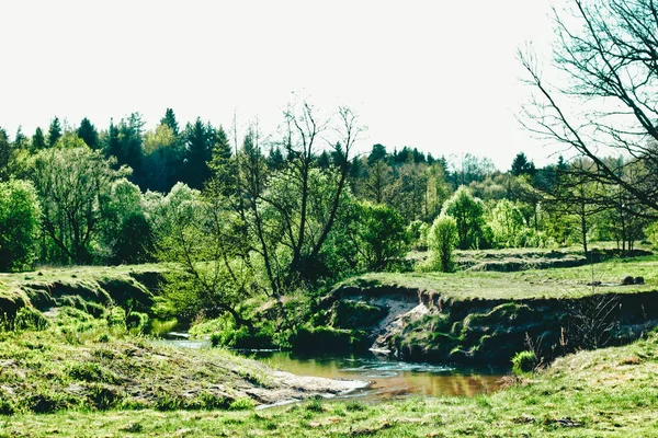 Krajobraz dzikiej przyrody z rzeką i drzewami — Zdjęcie stockowe