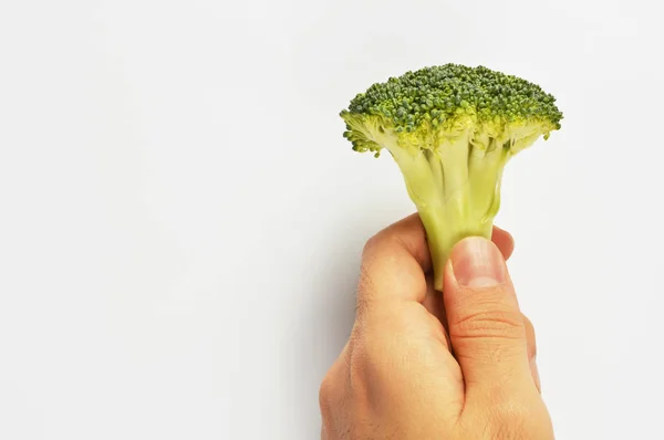 Hand Holding Broccoli Isolated White — Stock Photo, Image